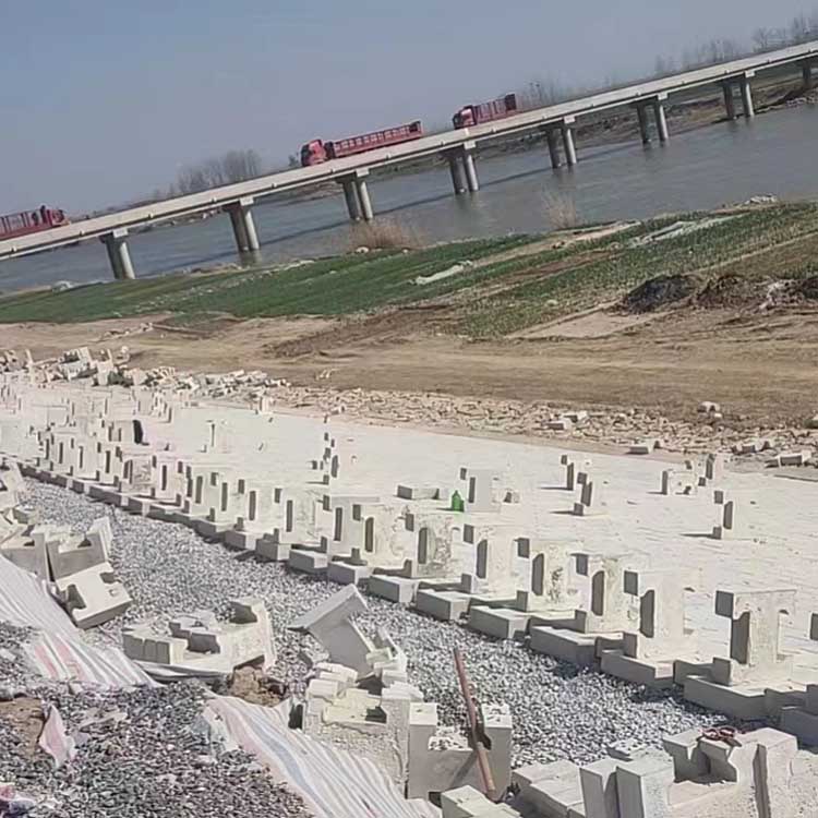 金堤河工程案例